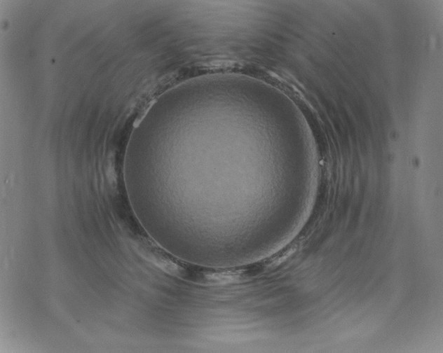 X0000076270516200610122258