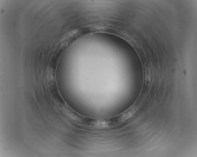 X0000076270518200610122258