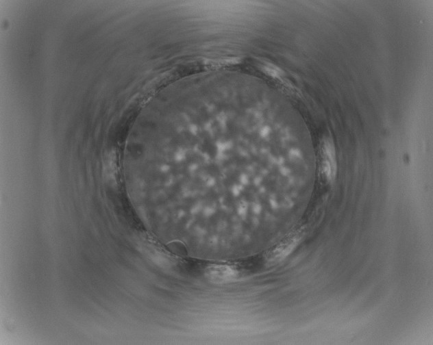 X0000076270519200610122258