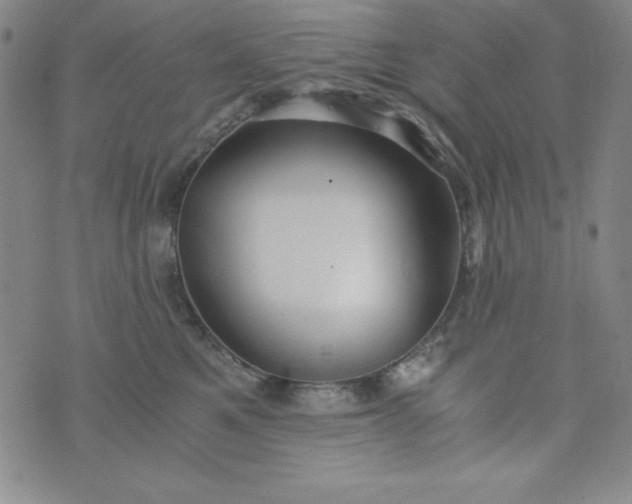 X0000076270521200610122258