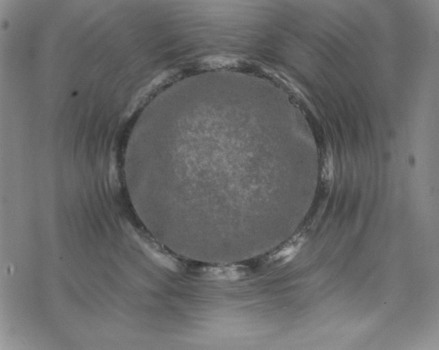 X0000076270524200610122258