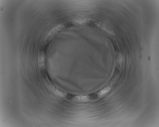 X0000076270526200610122258