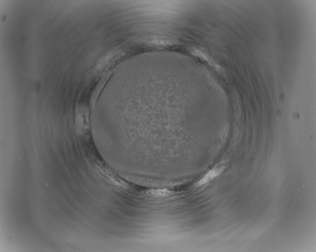 X0000076270528200610122258