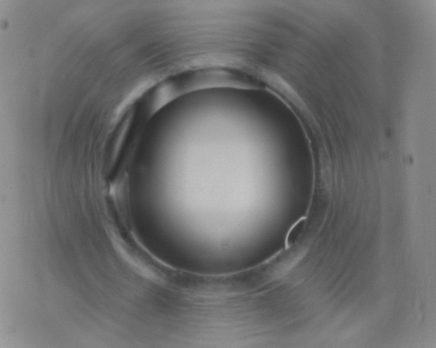 X0000076270530200610122257