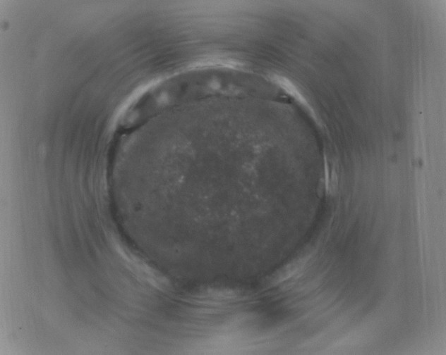 X0000076270531200610122257