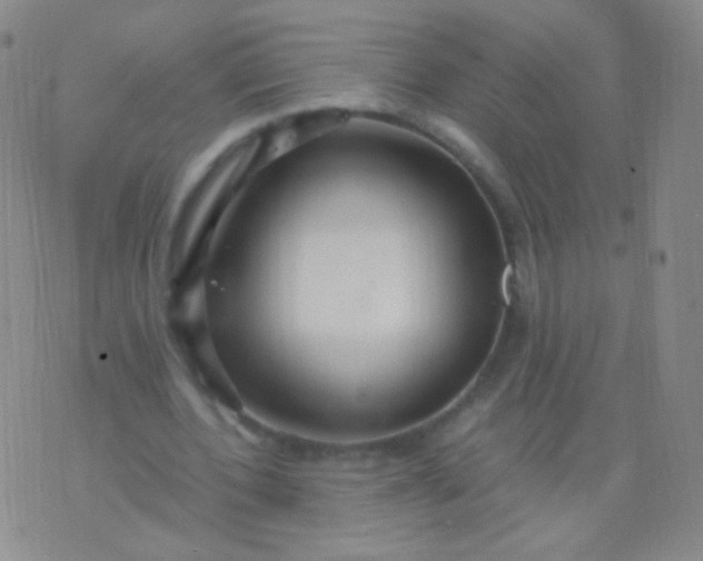 X0000076270532200610122257