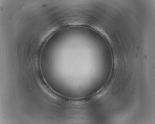 X0000076270533200610122257