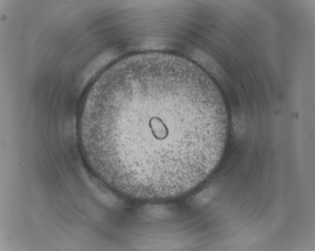 X0000076270534200610122257