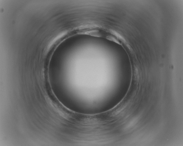 X0000076270535200610122257