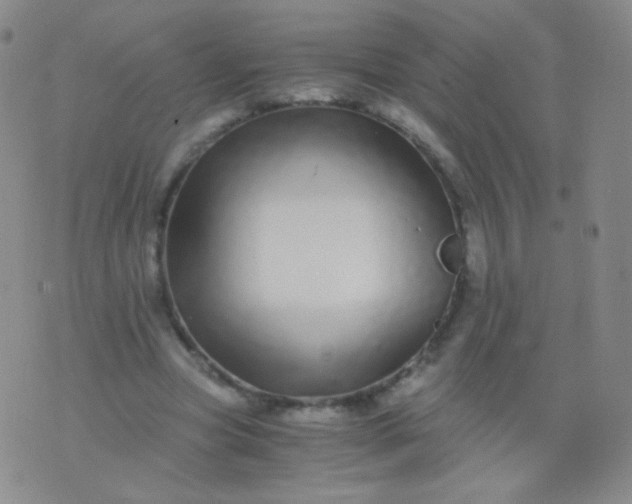 X0000076270537200610122257