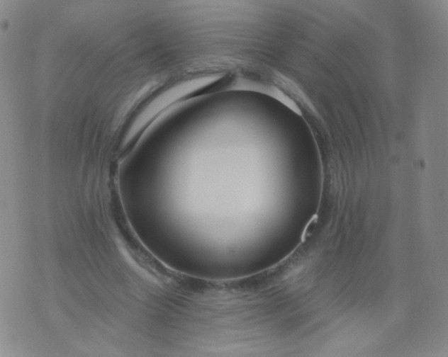 X0000076270538200610122257