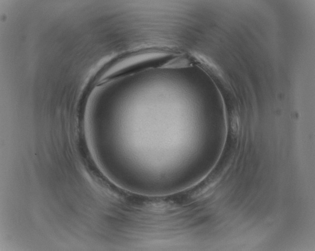 X0000076270540200610122257