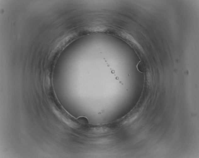 X0000076270541200610122257