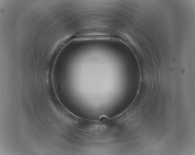 X0000076270543200610122257