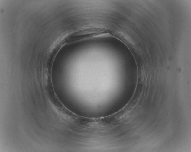 X0000076270544200610122257