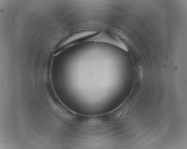 X0000076270546200610122257