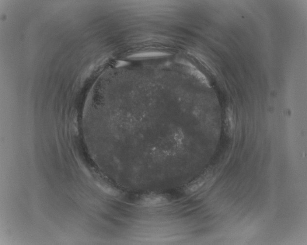 X0000076270547200610122258