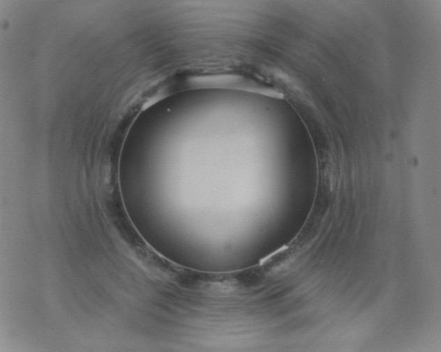 X0000076270548200610122258