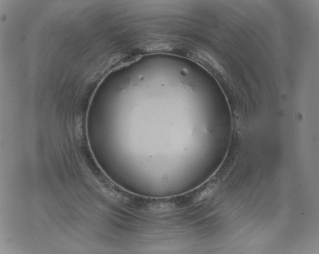 X0000076270549200610122258