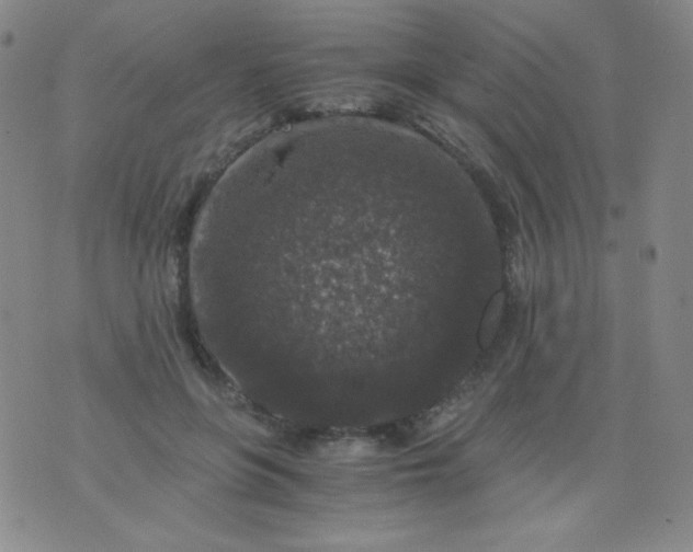 X0000076270551200610122258