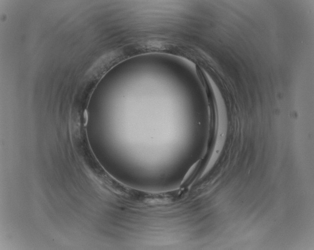 X0000076270552200610122258