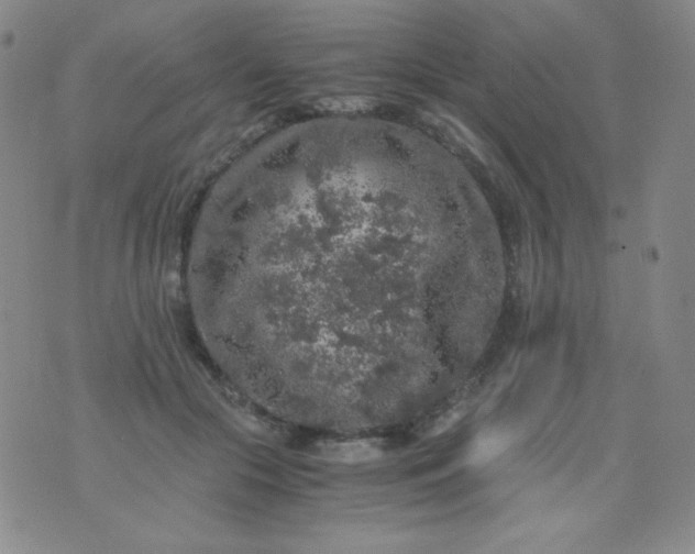 X0000076270553200610122258