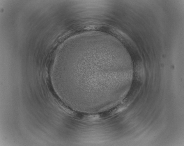 X0000076270554200610122258