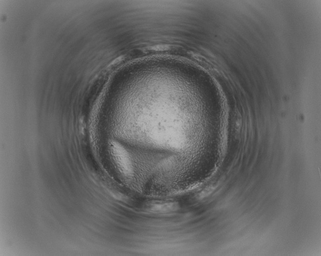 X0000076270555200610122258