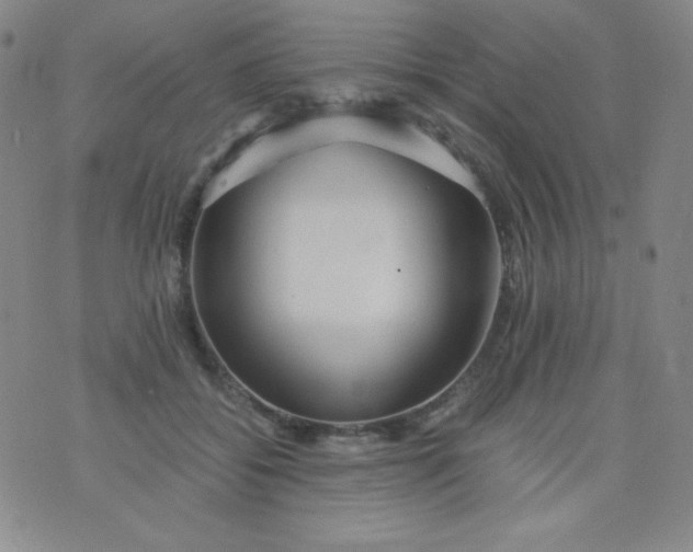 X0000076270556200610122258