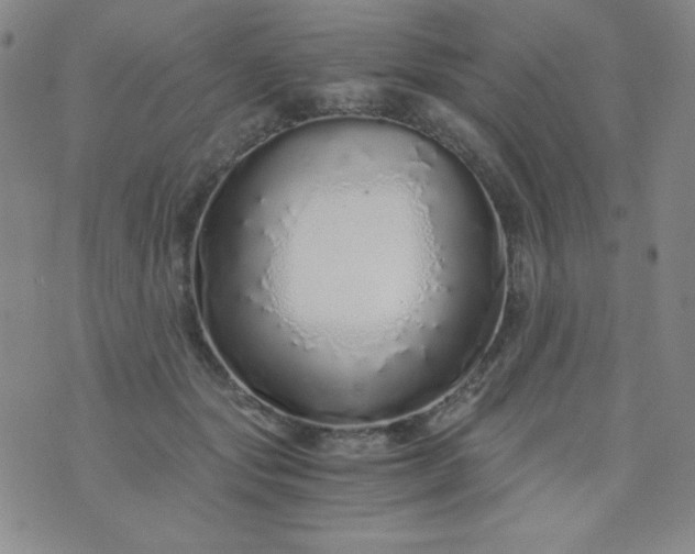 X0000076270557200610122258