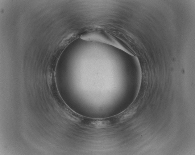 X0000076270558200610122258