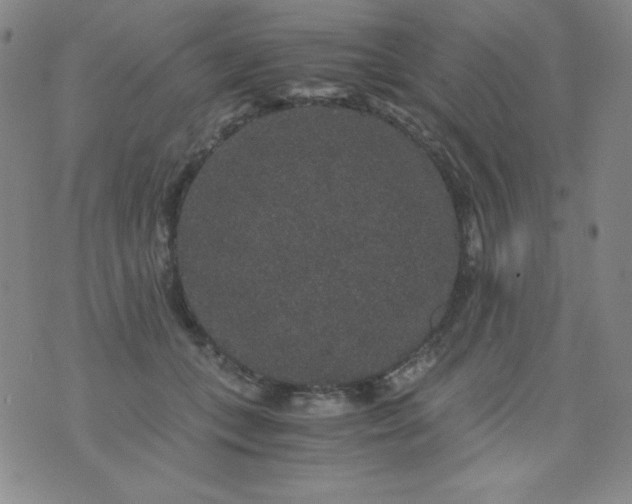 X0000076270559200610122258