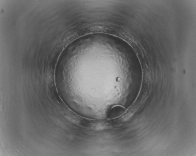 X0000076270561200610122258