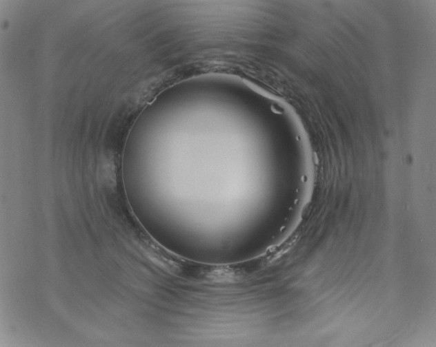 X0000076270562200610122258