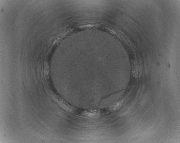 X0000076270563200610122258