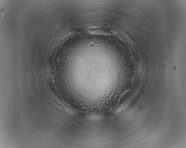 X0000076270565200610122258