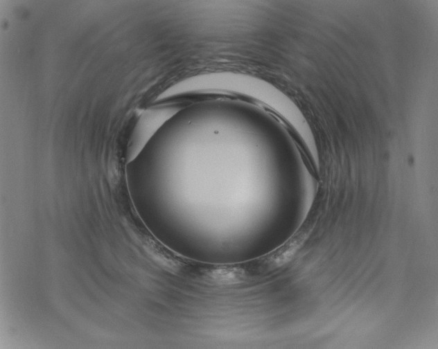 X0000076270566200610122258