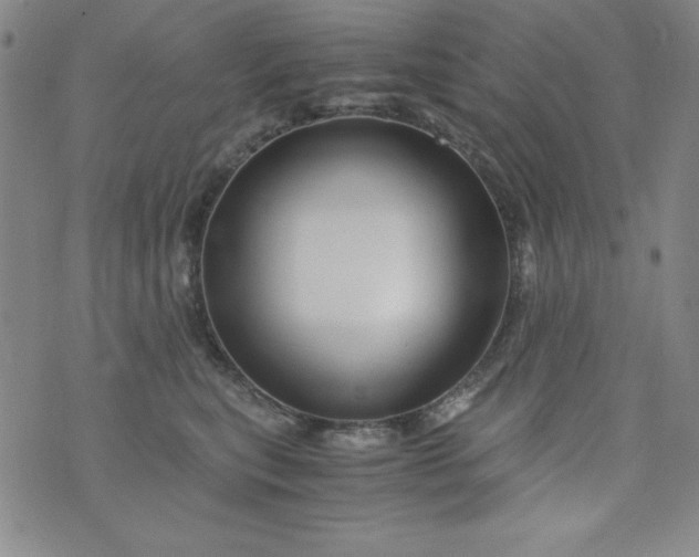 X0000076270567200610122258