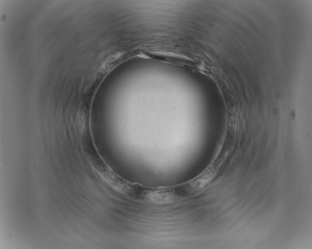 X0000076270568200610122258