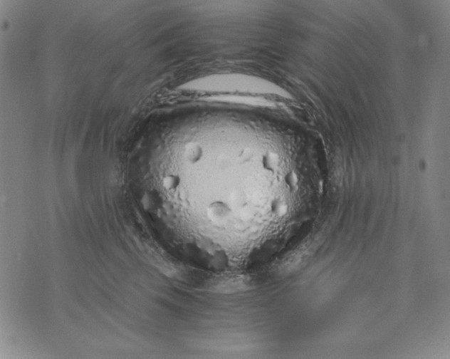 X0000076270569200610122258