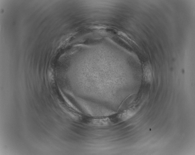 X0000076270571200610122258