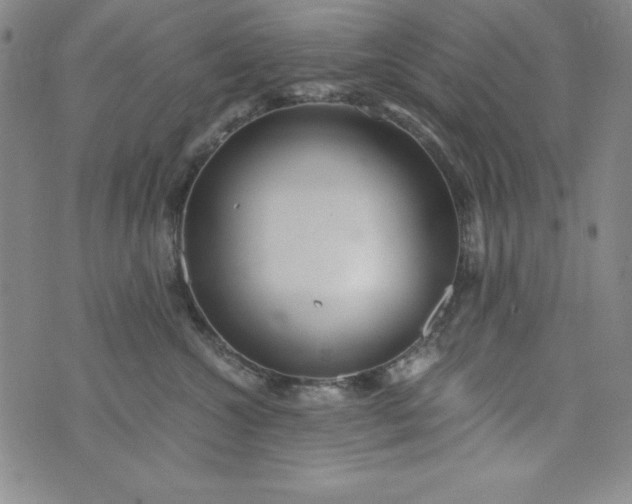 X0000076270572200610122258