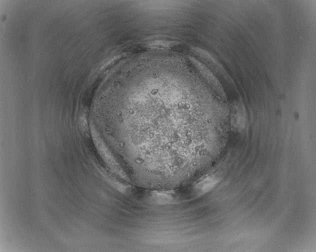 X0000076270573200610122258