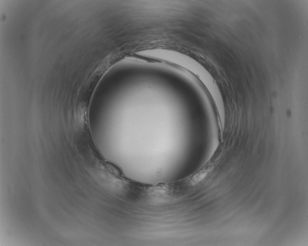 X0000076270574200610122258