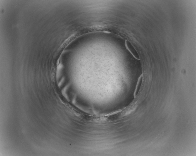 X0000076270576200610122258