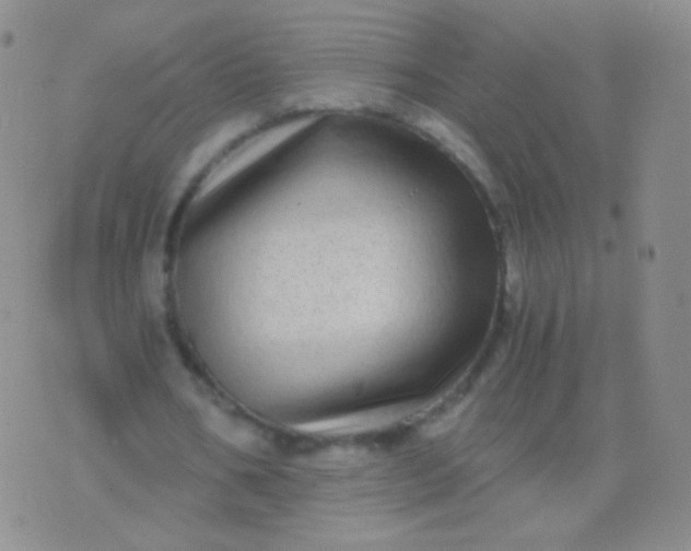 X0000076270578200610122257