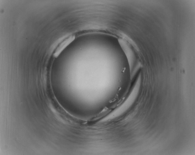 X0000076270580200610122257