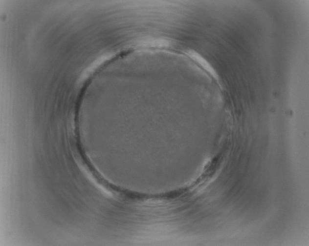 X0000076270581200610122257