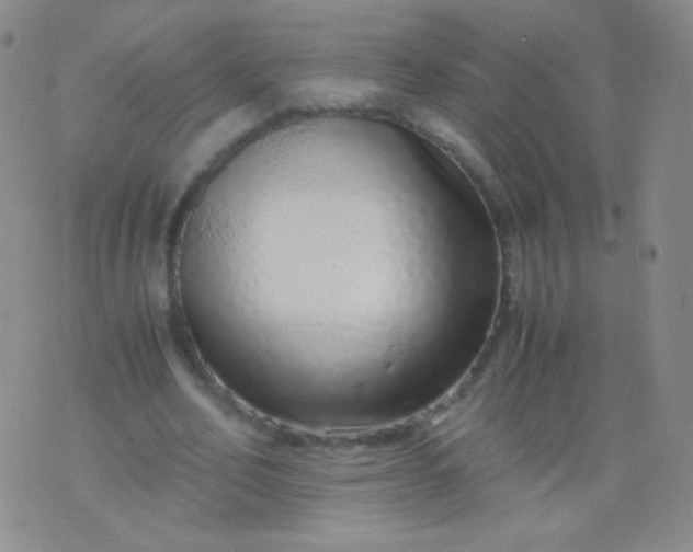 X0000076270582200610122257