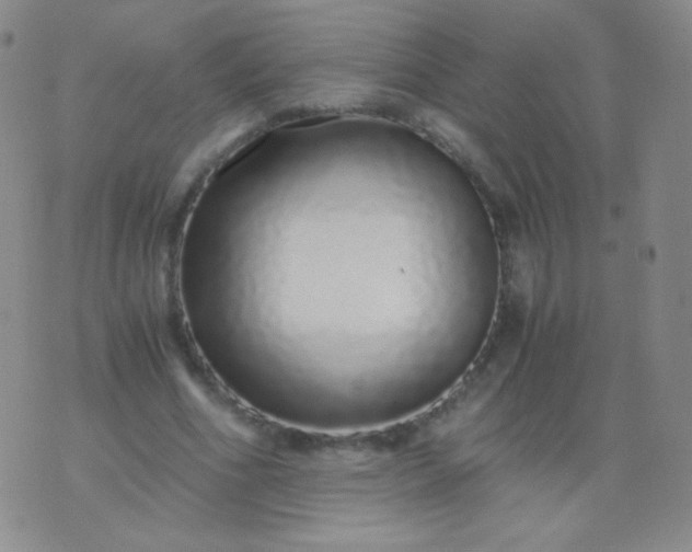 X0000076270586200610122257